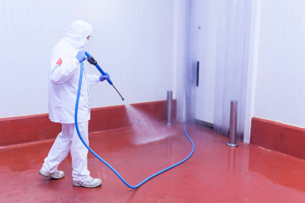 Best Paint Preparation  in Lakeside, FL