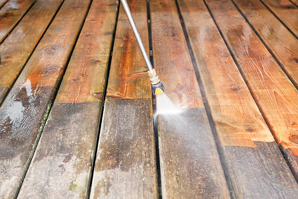Best Driveway Pressure Washing  in Lakeside, FL